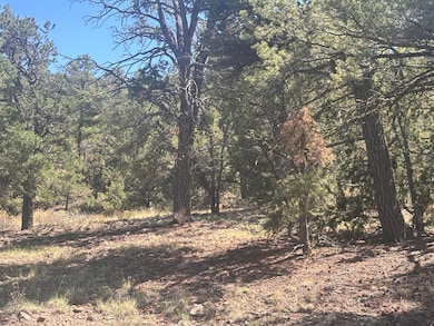 0 Lot 23 Tee Pee Ranch unit 1090346, Datil, NM 87821 - photo 7