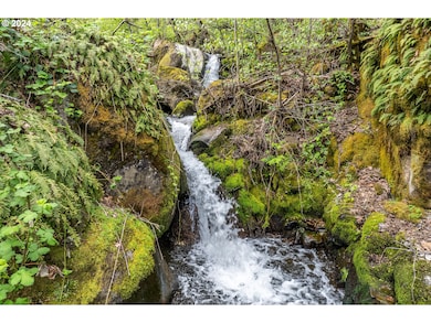 47742 State Hwy 14, Stevenson, WA 98648 - photo 4