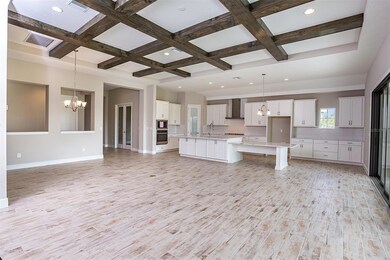 5959 Hidden Branch Dr, Apollo Beach, FL 33572 - photo 4