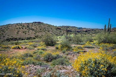 15609 E Palatial Lot 10