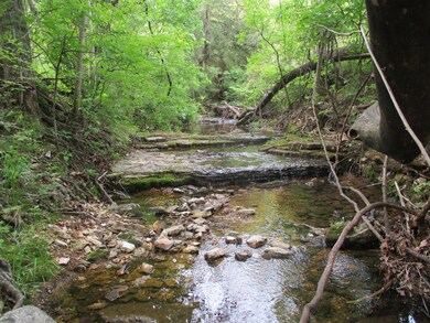000 Highway Jj, Thornfield, MO 65762 - photo 6