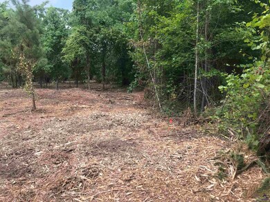 2420 Dennis Rd, Macon, GA 31220 - photo 6