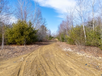 006-114 Old Brunswick Rd, Durham, ME 04222 - photo 6