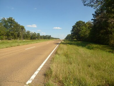 4004 Us Highway 98, McComb, MS 39648 - photo 4