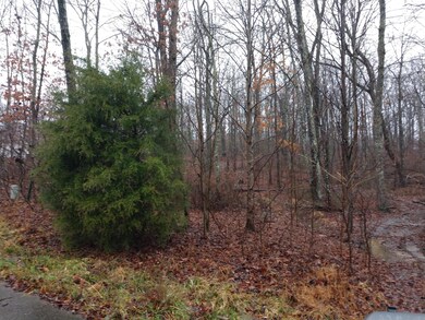 Mountain Laurel Ln 3 .png