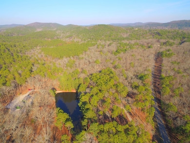 374 Cedar Glades Rd, Hot Springs, AR 71913 - photo 3