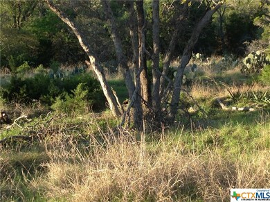 15849 Lovetta Ln, Temple, TX 76502 - photo 7