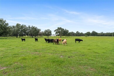 20.2 Acres Fenced and Cross-Fenced