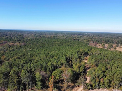 781 Sand Country Rd, Jefferson, TX 75657 - photo 2