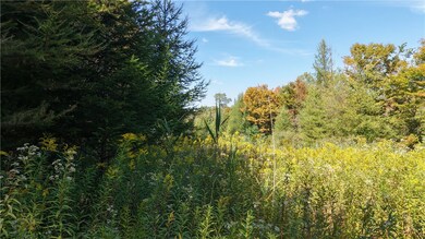 78 Culver Brook Rd, Boonville, NY 13309 - photo 6