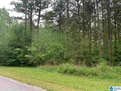 0000 Cane Creek Ln unit 15, Sylacauga, AL 35151 - photo 5