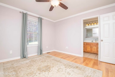 4713 Shell Ln, Knoxville, TN 37918 - photo 6