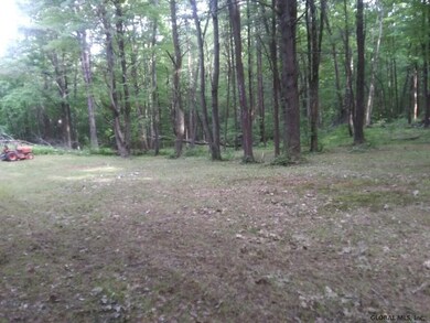 0 Albany Turnpike unit 202125262, Chatham, NY 12136 - photo 2