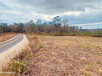 0 Saint Anne Rd, Carthage, MS 39051 - photo 5