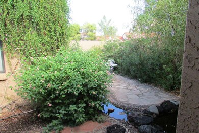 Courtyard Pond