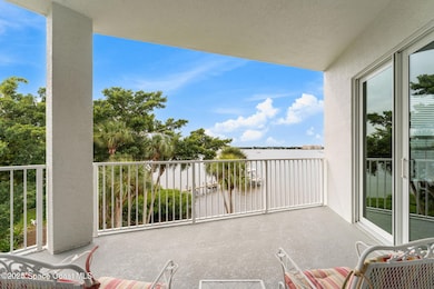 Watch the dolphin swim by!