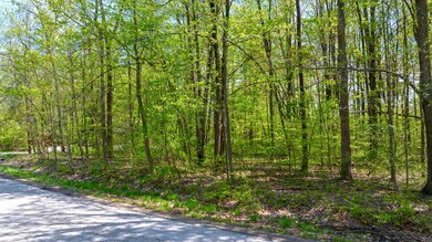 Seen from CWL Drive
