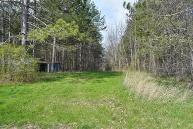 9917 Maple Grove Rd, Charlevoix, MI 49720 - photo 4