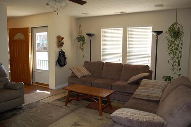 Living room-alternate view.jpg