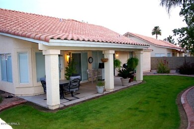 Back Yard & Patio 2