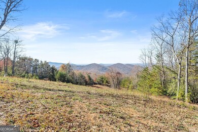 0 Helton Rd unit 10597557, Cleveland, GA 30528 - photo 4