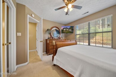 405 Maggie MacK Ln, Sevierville, TN 37862 - photo 6