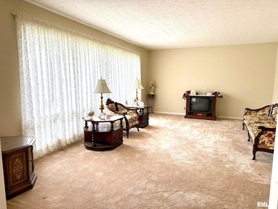 18 Chick St, Metropolis, IL 62960 - photo 4