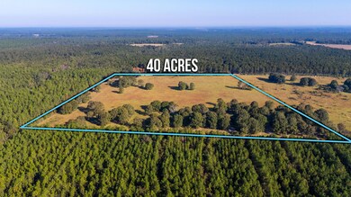 4-web-or-mls-Wallace Rd Aerial-4
