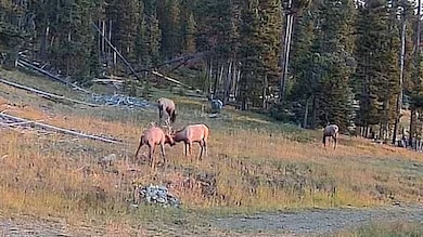 22 Indian Creek Rd, Townsend, MT 59644 - photo 2