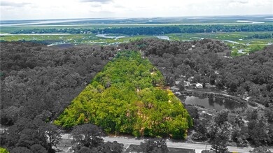 3.73 E S Ga Hwy 99 Hwy, Darien, GA 31305 - photo 2