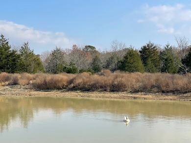 414332 E 1885 Rd, Antlers, OK 74523 - photo 4