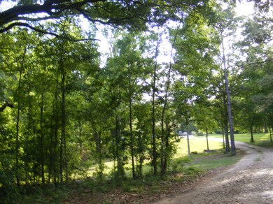 Road View of the Area