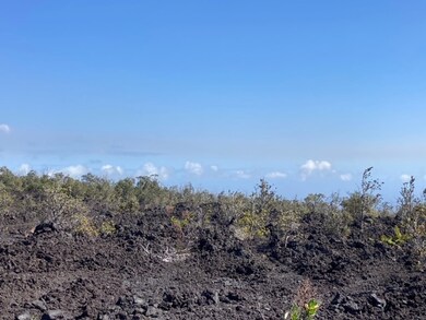 0 Ohia unit 719004, Ocean View, HI 96737 - photo 2
