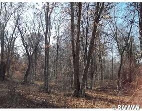 0 S River Rd, Danbury, WI - photo 3