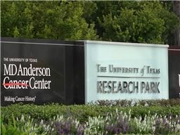 3557 Rebecca St unit 10, Houston, TX 77021 - photo 5