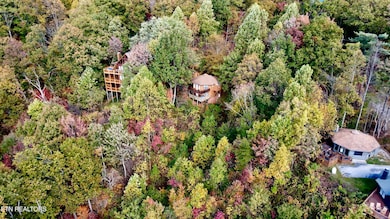 1036 E Foothills Dr, Gatlinburg, TN 37738 - photo 4