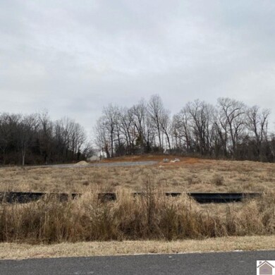 647 Elmdale Rd unit Lot 10, Paducah, KY 42003 - photo 5