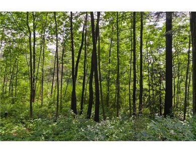 Land/Lot.