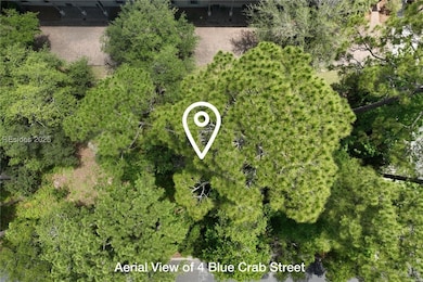 4 Blue Crab St, Bluffton, SC 29910 - photo 3