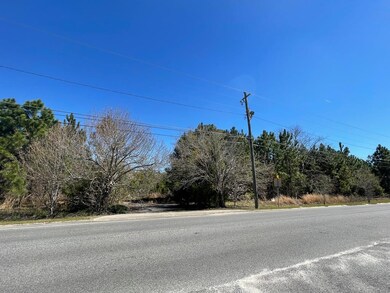 00 Pat Dixon Rd Broxton Hwy & Charles Roger Blvd, Hazlehurst, GA 31539 - photo 4