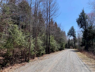 2 Brook Ln unit 39, Wilmington, VT 05363 - photo 4