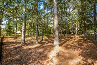 10223 Woodlane Blvd, Magnolia, TX 77354 - photo 5