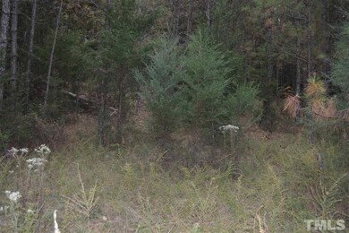 0 Pete Roberson Rd, Pittsboro, NC 27312 - photo 6