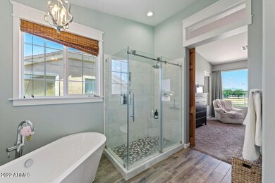 Primary Tub & Shower