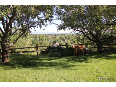Backyard View