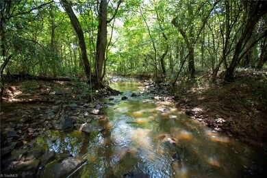 929 Arthur Teague Rd, Siler City, NC 27344 - photo 4