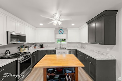 Kitchen featuring stainless steel appliances, dark cabinets, a ceiling fan, light wood-type flooring, and white cabinetry