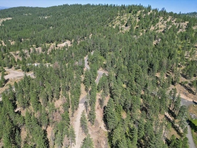 NKA Weaver Way unit Lot 2 of Lot 1, Deer Park, WA 99006 - photo 6