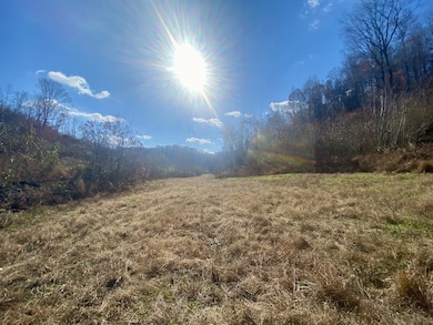 4570 Highway 64 E, Pulaski, TN 38478 - photo 4