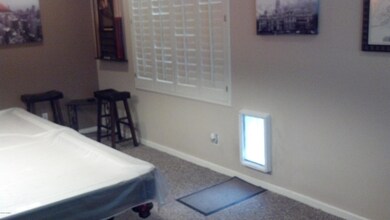 Pet Door to Fenced Dog Run in Living Rm